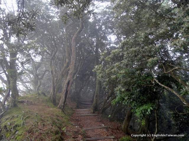 Beidawu Trail